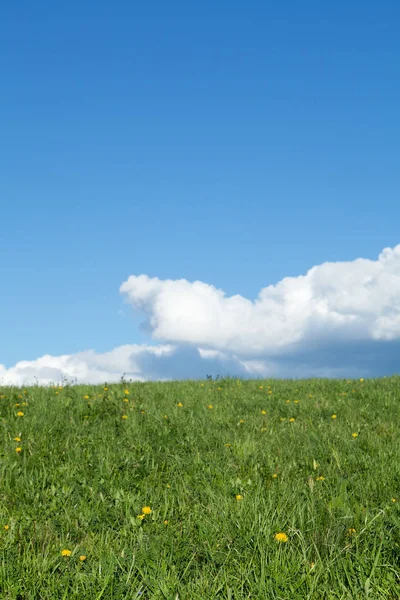 Łąka Wiosennymi Chmurami Natura Kontrastem Kolorów Nadaje Się Również Jako — Zdjęcie stockowe