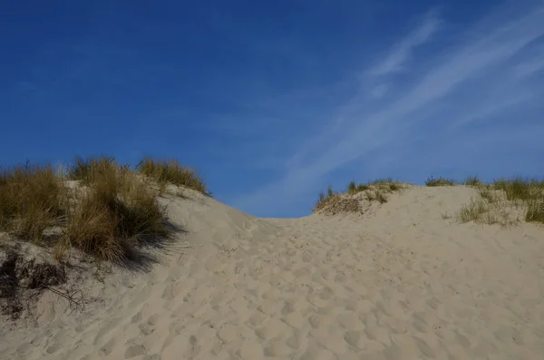 Road Sea — Stock Photo, Image