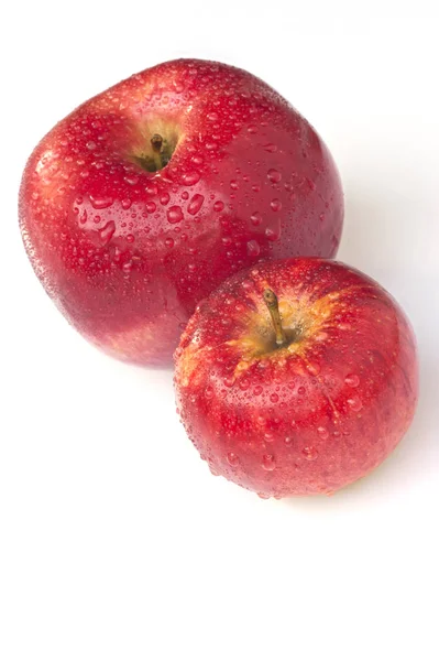 Idared Und Pilot Zwei Arten Von Kultur Fruchtigen Apfel Malus — Stockfoto