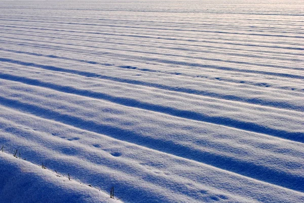 Καλλιεργούμενη Έκταση Καλυμμένη Χιόνι Γεωργικές Εκτάσεις — Φωτογραφία Αρχείου