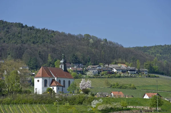 Vacker Utsikt Över Vacker Kapellbyggnad — Stockfoto