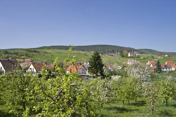Aziz Dionysius Şapeli Gleiszellen Gleishorbach Alman Şarap Rotası Pfalz Rhineland — Stok fotoğraf