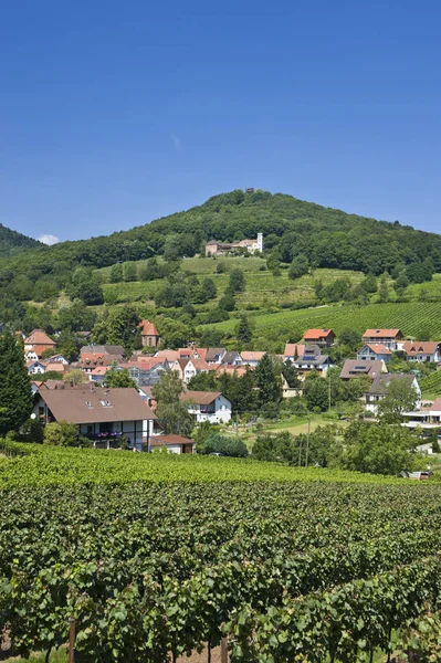 Ortstotale Avec Slevogthof Leinsweiler Allemand Aussi Route Des Vins Sud — Photo