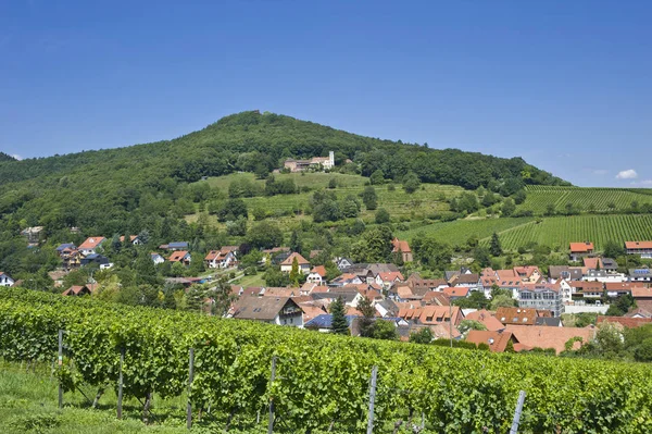 Slevogthof Leinsweiler German South Wine Güzergahı Palatinate Rheinland Pfalz Almanya — Stok fotoğraf