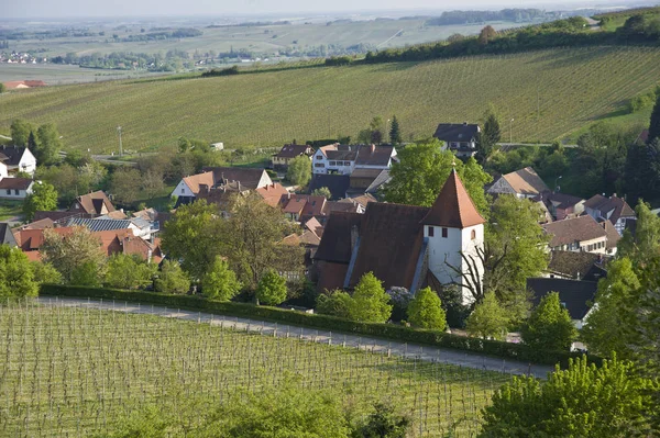 Ortstotale Avec Martinskirche Vue Plaine Rhinite Leinsweiler Allemand Aussi Route — Photo