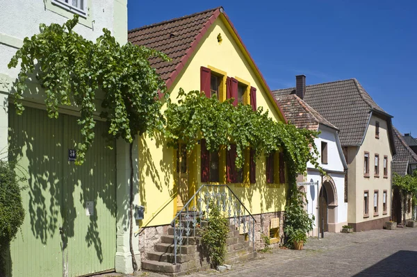 Weinhang Gleiszellen Gleishorbach Deutsche Weinstrae Pfalz Rheinland Pfalz Niemcy Europa — Zdjęcie stockowe