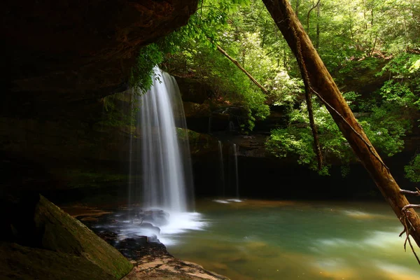 Bella Caney Creek Falls Nella William Bankhead National Forest Dell — Foto Stock