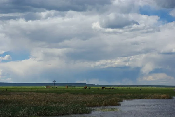 Jezero Koně Široké Otevřené Pláně Wyoming — Stock fotografie