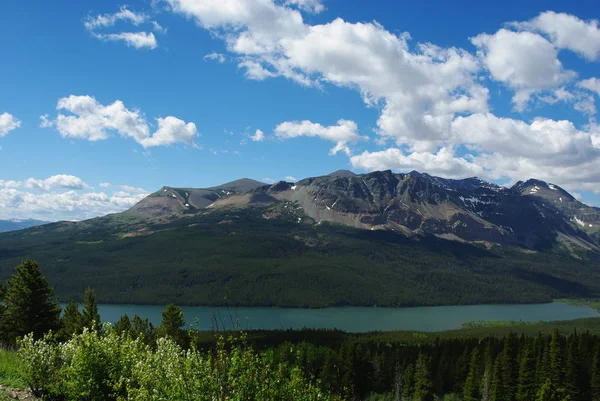 Lower Two Medicine Lake Lesy Skály Národní Park Glacier Montana — Stock fotografie