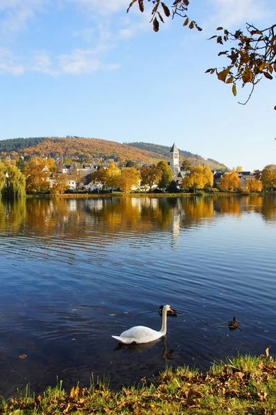 Bullay Swan Moselle — Stok fotoğraf