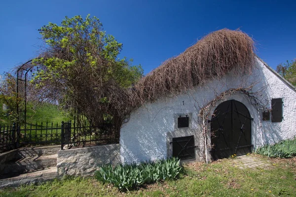 Винний Льох Бургенланді — стокове фото