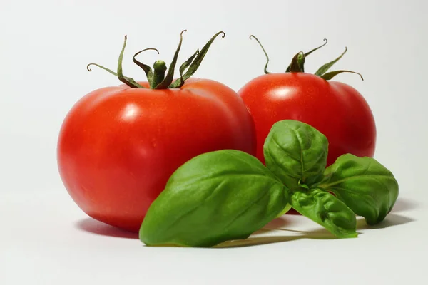 Tomatoes Basil Branch — Stock Photo, Image