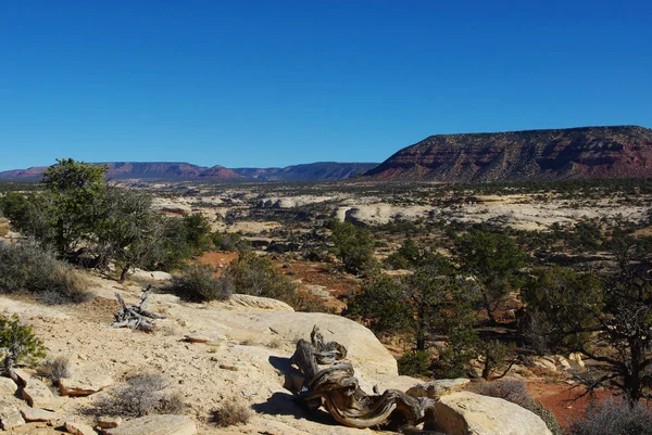 Vista Del Cañón Blanco Utah — Foto de Stock