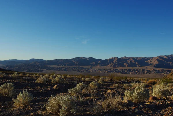 Tidig Morgon Death Valley Kalifornien — Stockfoto