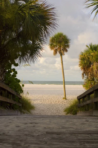 Sentiero Legno Verso Una Spiaggia Soleggiata Vuota Incorniciata Palme — Foto Stock