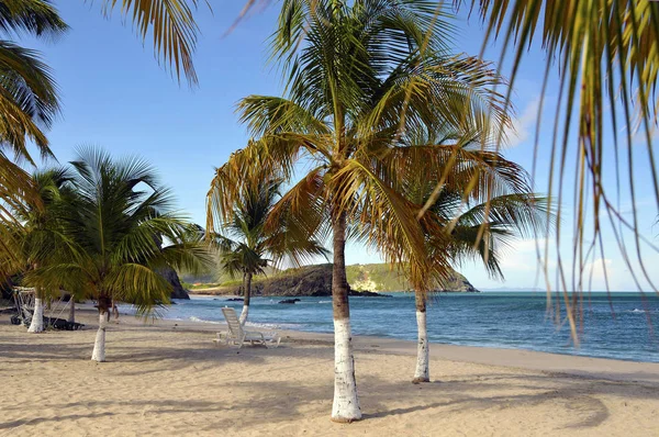 Παραλία Isla Margarita Καραϊβική — Φωτογραφία Αρχείου