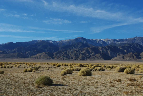 Lugares Verdes Alto Desierto Con Montañas Blancas Nevada — Foto de Stock