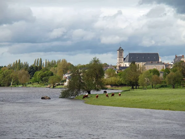 Mayenne Nehri Boyunca Otlayan Ineği Olan Küçük Bir Köy — Stok fotoğraf