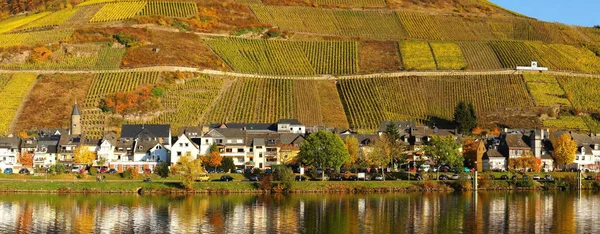 Cidade Zell Panorama Der Mosel Outono — Fotografia de Stock