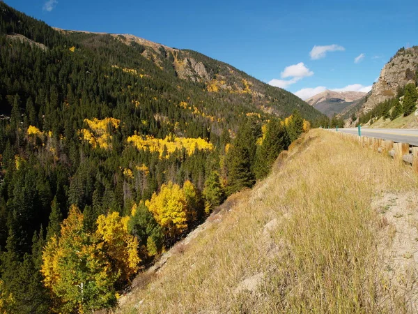 Natur Pur Denver — Stockfoto