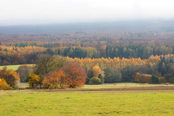 Idarwald Ziołowa Nebel — Zdjęcie stockowe