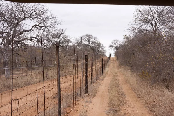 border fence to the kruger national park in south africa