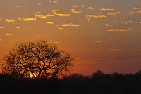 Schöner Blick Auf Den Warmen Abend — Stockfoto