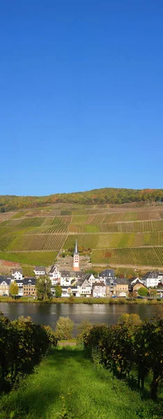 Zell Merl Mosel Hösten — Stockfoto