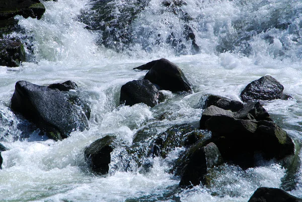 Stones Wild Water — Stock Photo, Image