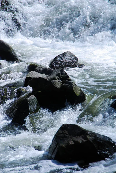 Pietre Acqua Selvatica — Foto Stock