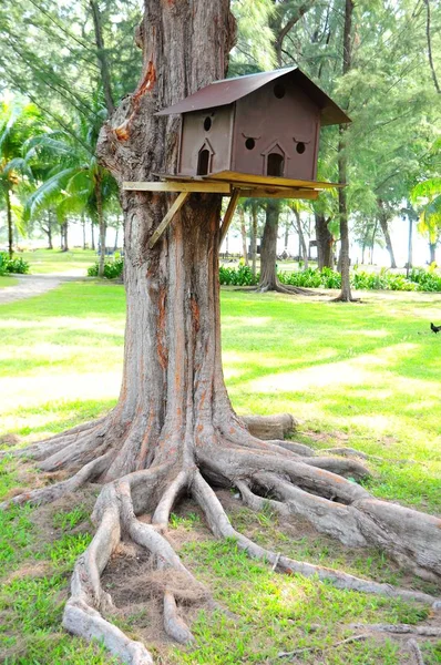 Brown Color Bird Nesting Box Tree — Stock Photo, Image