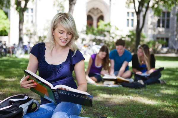 Estudantes Lendo Livros Campus Universitário — Fotografia de Stock