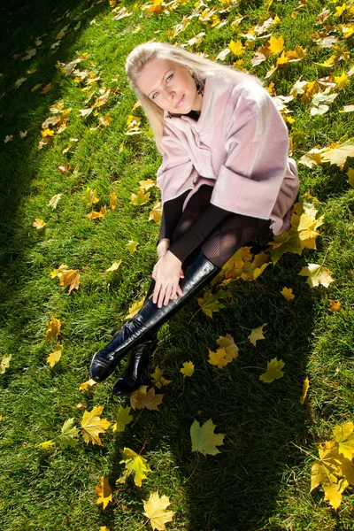 Giovane Bella Donna Nel Parco Autunnale — Foto Stock