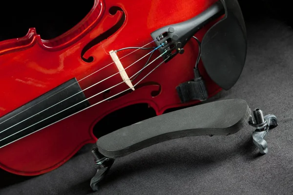 Schöne Glänzende Violing Auf Dunklem Samt Hintergrund — Stockfoto