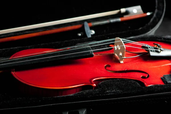Wunderschöne Geige Und Schleife Schwarzem Samtetui — Stockfoto