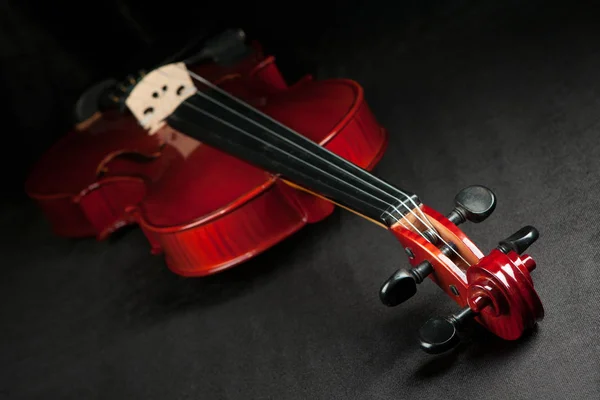 Красивые Блестящие Скрипки Темном Бархатном Фоне — стоковое фото