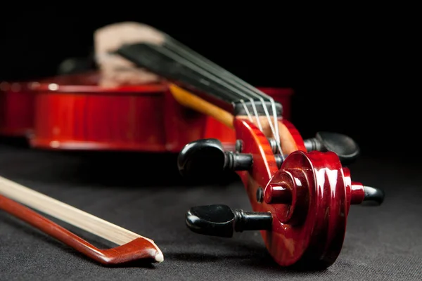 Beau Violon Arc Sur Fond Boulangerie Velours Foncé — Photo