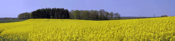 Сільська Сільськогосподарська Земля Поля — стокове фото