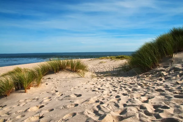 Panoramisch Uitzicht Duinen Selectieve Focus — Stockfoto