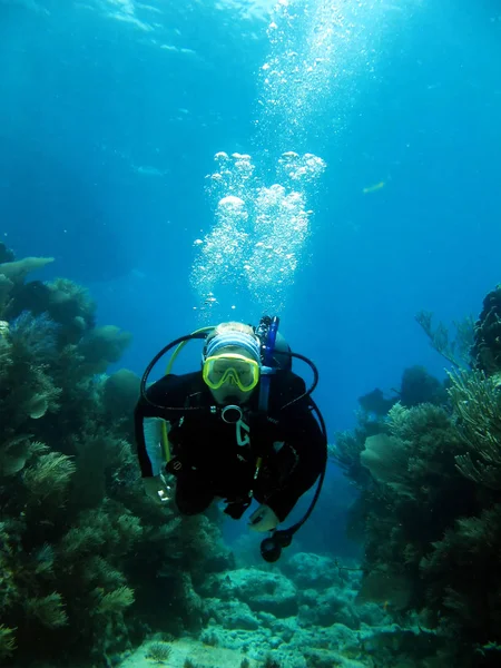 フロリダキーズ沖のサンゴ礁の上を泳ぐスキューバダイバーの水中ビュー アメリカ — ストック写真