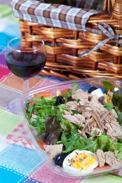 Verse Salade Met Tonijn Ansjovis Eieren — Stockfoto