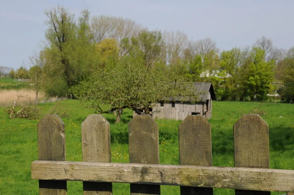 Старый Деревянный Забор Парке — стоковое фото