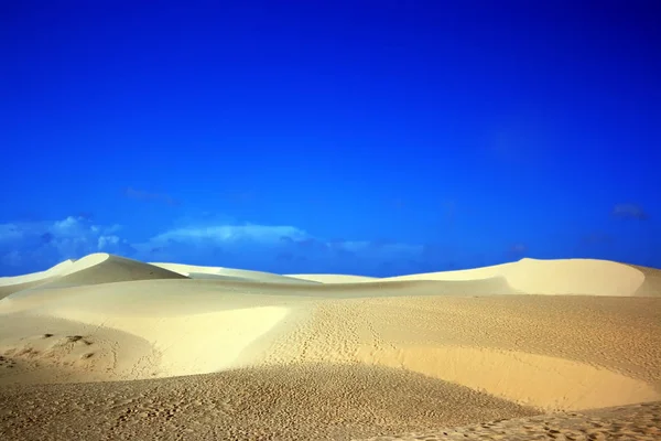 Desert Surface Dune Landscape — Stock Photo, Image