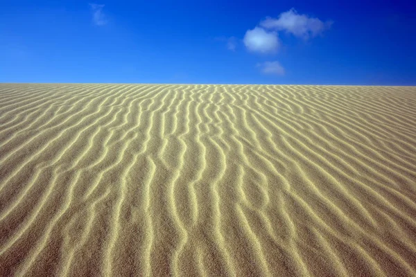 Dunes Sable Dans Désert — Photo