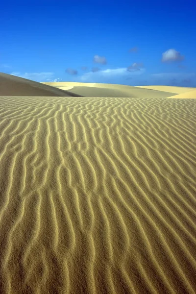 Sandy Dunes Desert — Stock Photo, Image