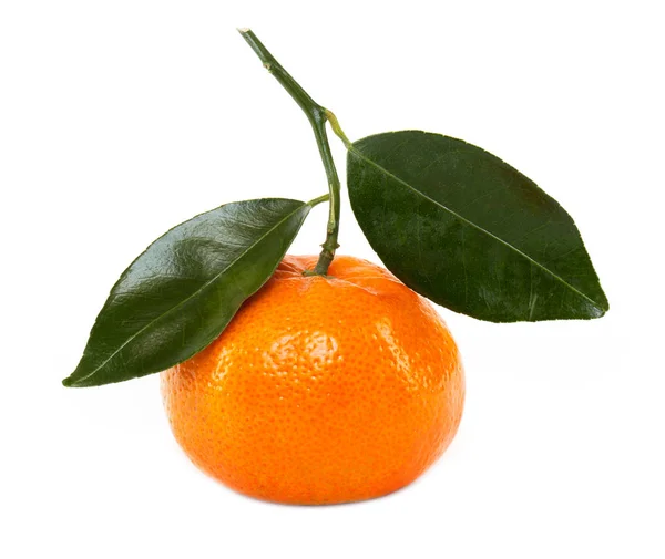 Mandarina Fruta Com Folha Isolada Contra Fundo Branco — Fotografia de Stock