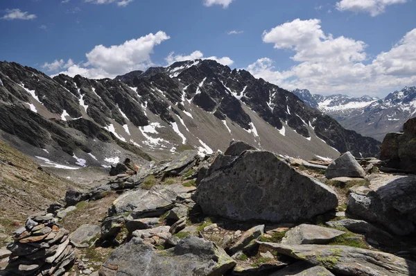 Mais Selvagem Kaiser Tirol Alpen — Fotografia de Stock