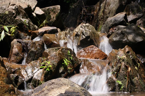 Acqua Cascata Nella Foresta Tropicale Selvaggia — Foto Stock