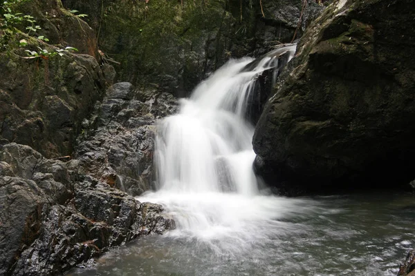 Cachoeira Floresta Tropical Selvagem — Fotografia de Stock