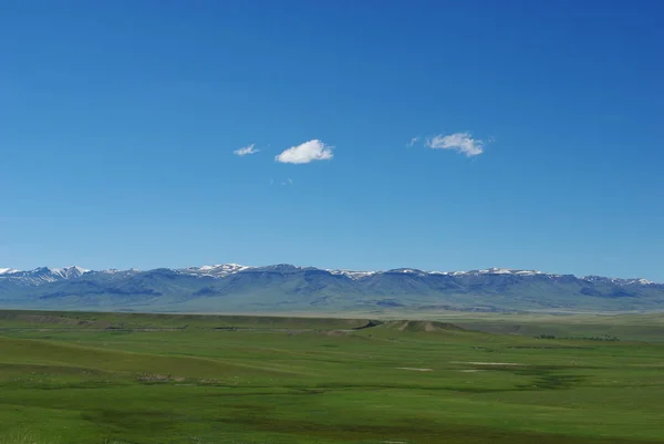 Vastes Hautes Plaines Immenses Rochers Absaroka Forêt Nationale Shoshone Wyoming — Photo